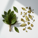 Bay leaf